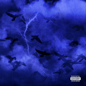 亚洲男同视频网站
