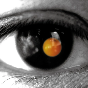 亚洲男同视频网站
