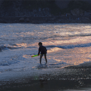 亚洲男同视频网站
