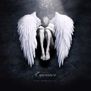 亚洲男同视频网站
